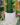2ปกกระถาง19x19x19-1.jpg