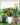 2ปกกระถาง29x45x19-1.jpg